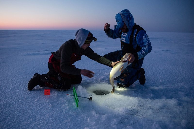 Catch the Big Catch with Ice Fishing Live Casino in the UK in United Kigdom Catch the Big Catch with Ice Fishing Live Casino in the UK in United Kigdom