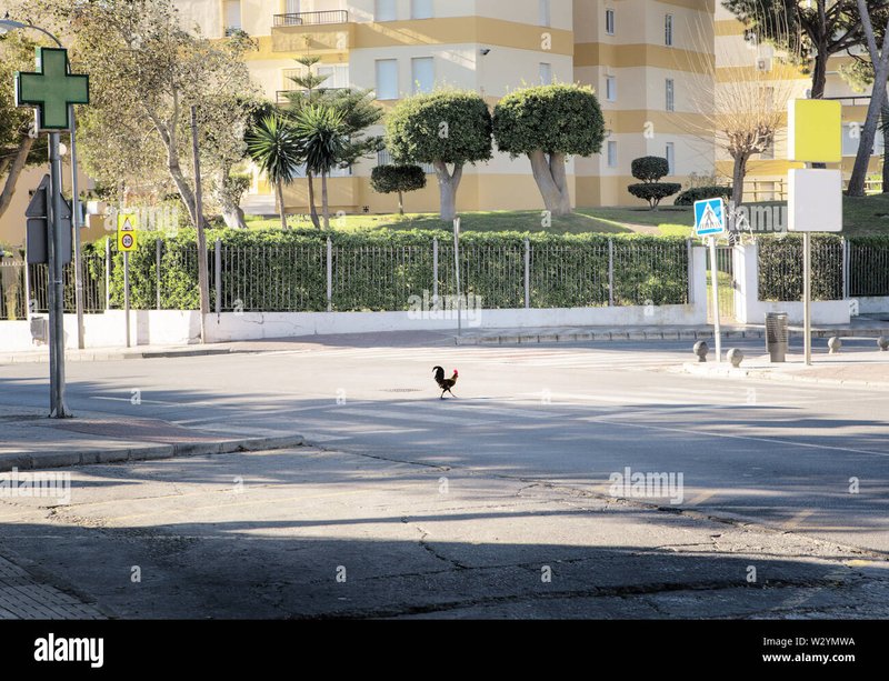 Svela l'Enigma della Chicken Road: Gioco di Casinò Originale in Italia
